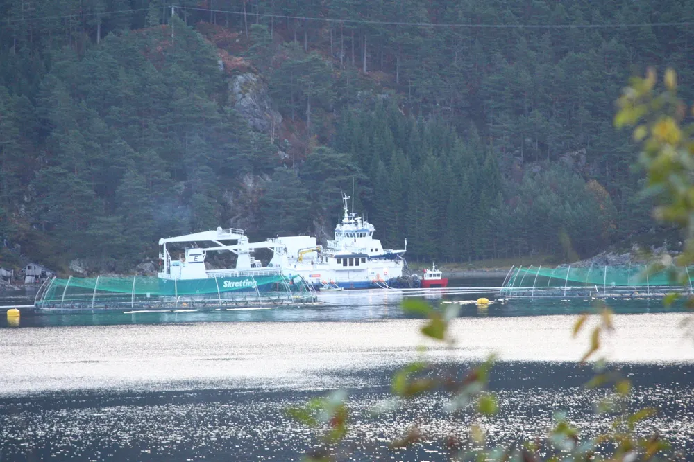 A Kobbevik and Furuholmen farming site, pictured in 2013.