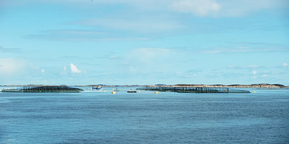 FÅR MEST:Frøya kommune, som blant annet er vert for flere av Salmars lokaliteter, får mest fra havbruksfondet i år.