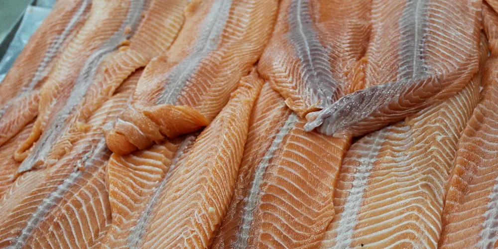 Chilean Atlantic salmon.