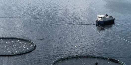 HELELEKTRISK OPPDRETT: Loddetå lokalitet i Rogaland, eid av Bremnes Seashore.