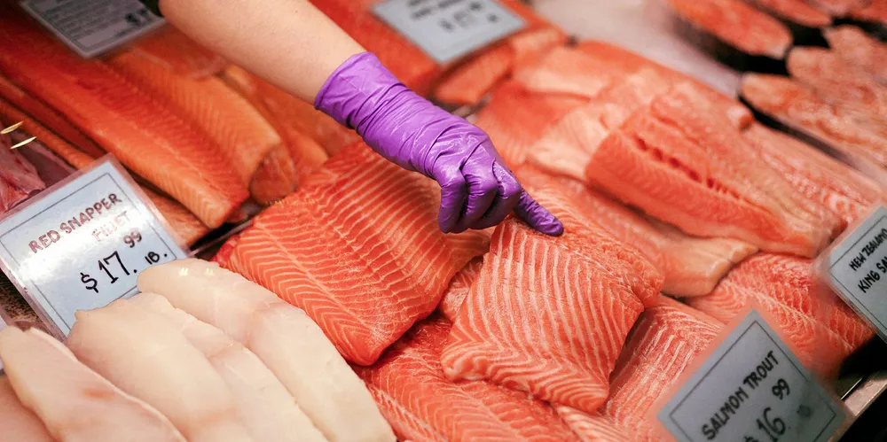 Salmon and trout on sale in Philadelphia, United States.