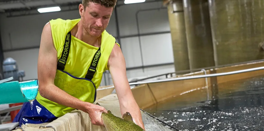 Peter Bowyer, a farm manager with AquaBounty, overseeing operations.