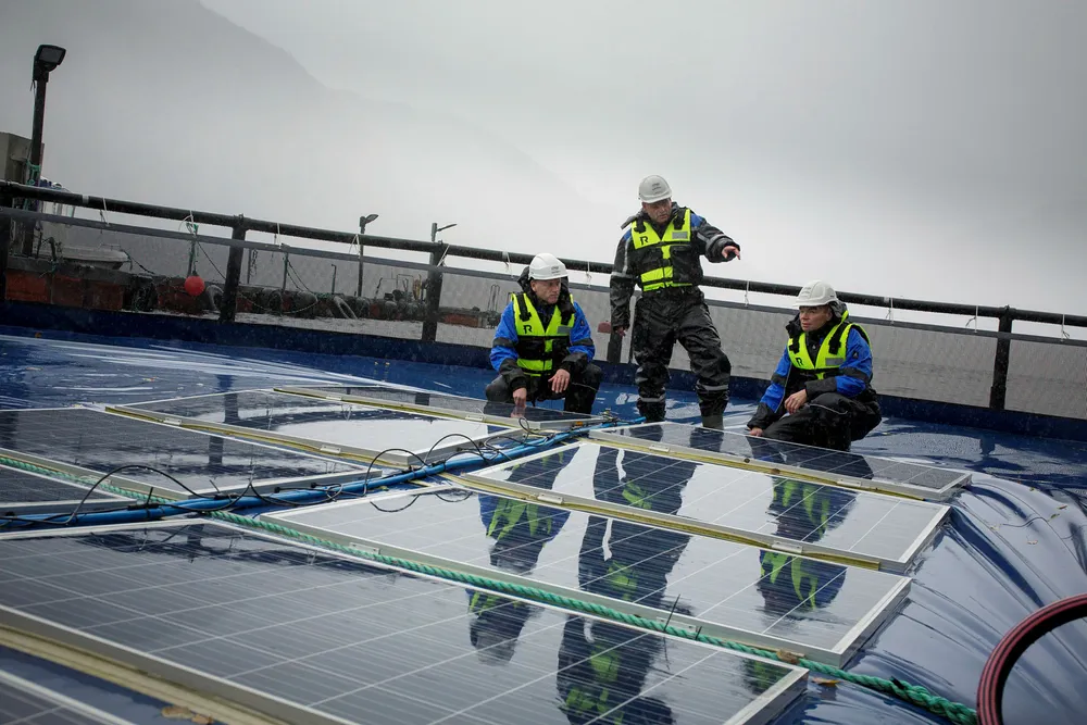 Ocean Sun-gründerne Øyvind Christian Rohn (sittende) og Børge Bjørneklett (til høyre) viser frem solcellepanelene for Bjørn Thorud (til venstre) i Multiconsult. I bakgrunnen snakker Arnt Emil Ingulstad (til venstre) fra Ocean Sun med Stanislas Merlet fra Multiconsult. Foto: Eivind Senneset