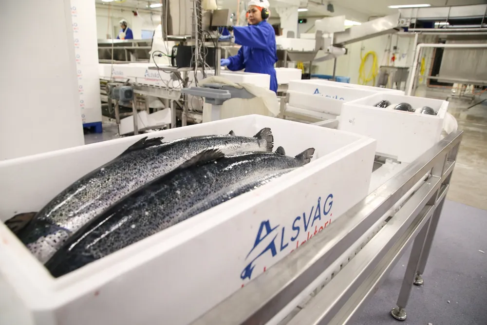 Norwegian producers can breathe a slight sigh of relief
