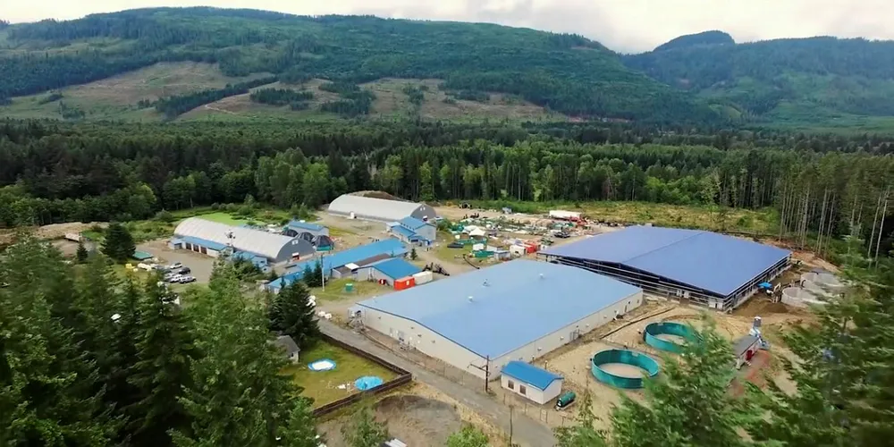 Marine Harvest Canada's Dalrymple freshwater hatchery.