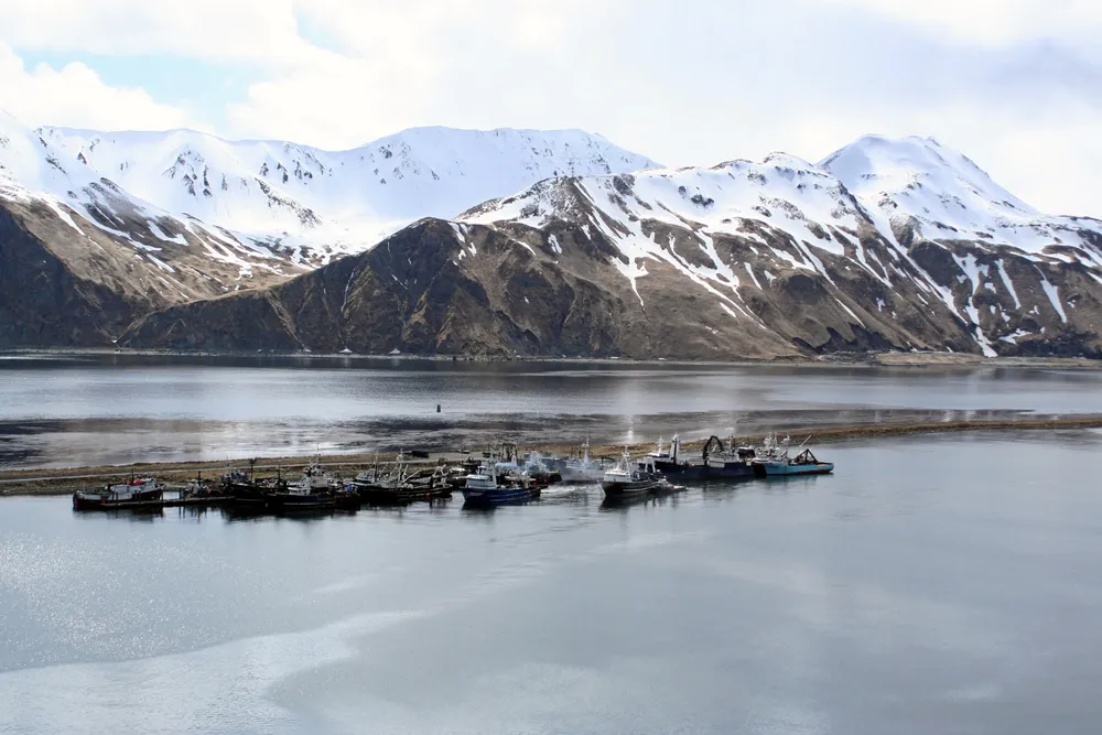 The snow crab will be processed in Unalaska, according to the agreement.