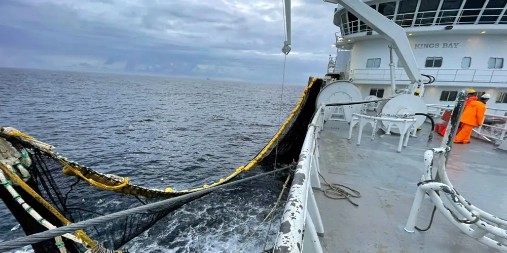 «Kings Bay» var en av snurperne som deltok i fangstfesten i Norskehavet lørdag. 320 tonn ble samlet fangst som ble levert til Nils Sperre i Ålesund. Bildet er tatt fra fangstingen lørdag kveld.