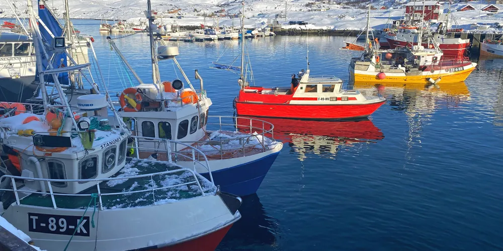 Nergård Sørøya i Breivikbotn venter opp mot 80 båter på det meste i tiden framover.