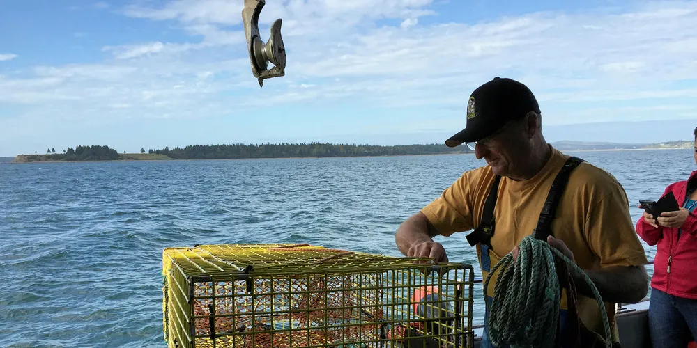 Live lobster's 6% tariff dropped immediately when CETA went into effect Sept. 21.