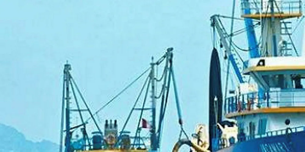China Fishery trustee aims to transfer Copeinca debt ahead of Peru sale.