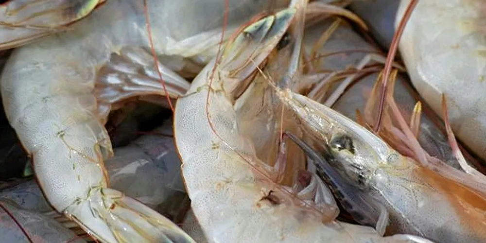 A representative with the The North Carolina Fisheries Association told a local news site consumers deserve to know the origin of their seafood.