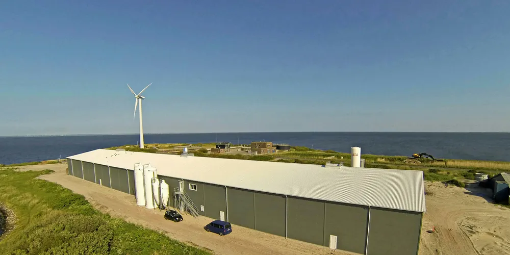 Harvesting at Langsand Laks' land-based facility in Denmark started again in September.