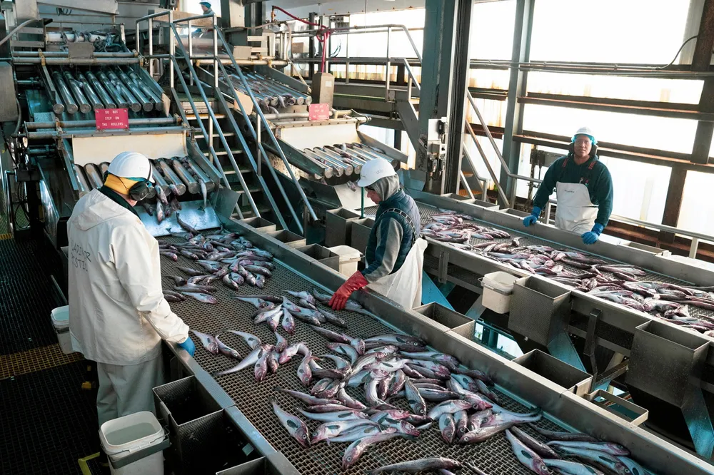Alaska pollock producers have been competing in major global markets such as Europe against Russia for contracts.