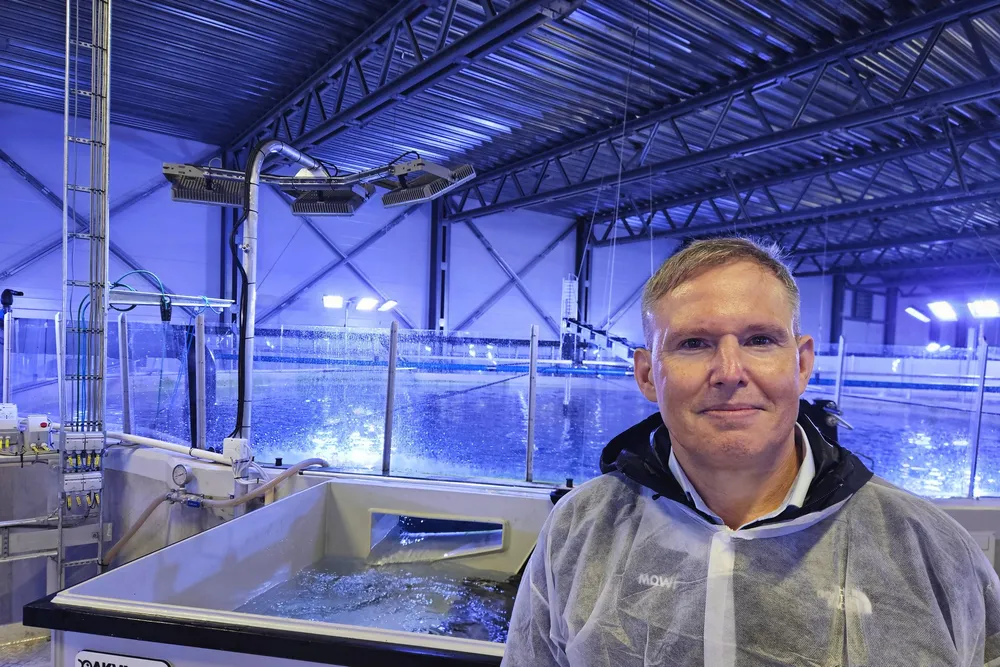 Ivan Vindheim, CEO at Mowi.