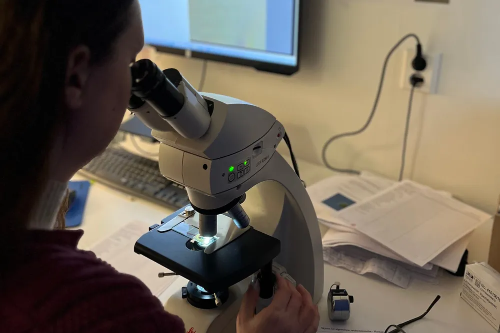 Sea Eco gjør tidkrevende mikroskop-arbeid i laboratoriet. Muligheten med kamera som viser bilder på skjerm er viktig for intern kvalitetskontroll og bildeoverføring med video som gjør det mulig med faglig samarbeid med Havforskningsinstituttet, sier daglig leder Tone Rasmussen.