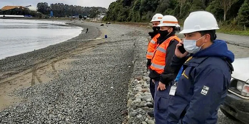 Officials on site at the impacted Salmones Camanchaca farm.