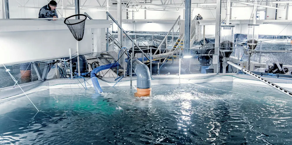 An Akva RAS system at work.