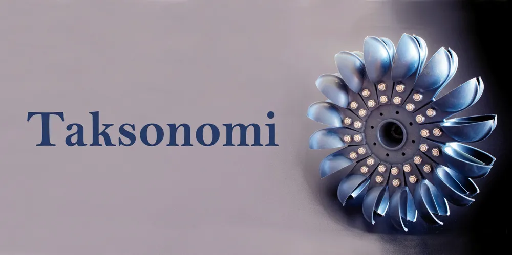 I en taksonomi-rapport omtaler EU-kommisjonens ekspertgruppe småkraft som økologisk problematisk, og antyder avvikling fremfor oppgradering.