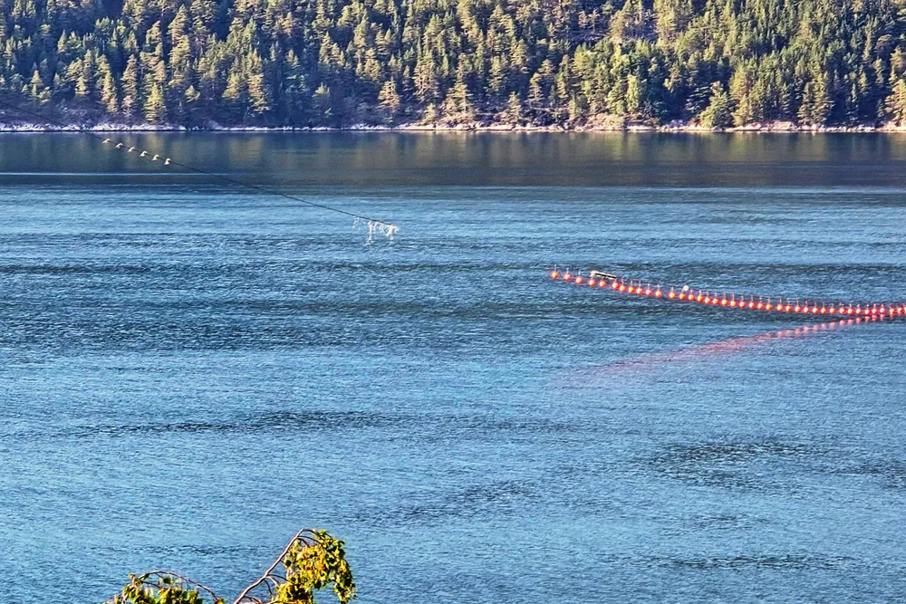 Slik lå kabelen i vannet og opp fjellsidene noen timer etter at lasteskipet hadde kollidert med kraftlinjen. Sognefjorden