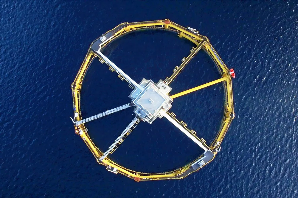 Salmars havmerd Ocean Farm sett ovenfra.