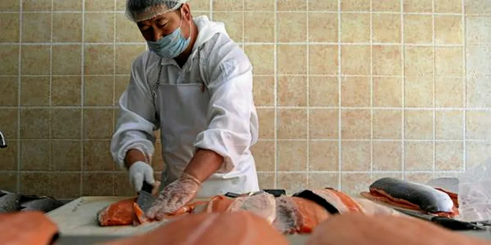 A Chinese worker fillets a farmed salmon. Chile has worked out a process to fast-track health regulations to continue the flow of product into the market.