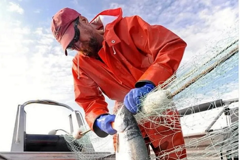 The Alaska seafood industry has faced tough economic conditions for the past few years.