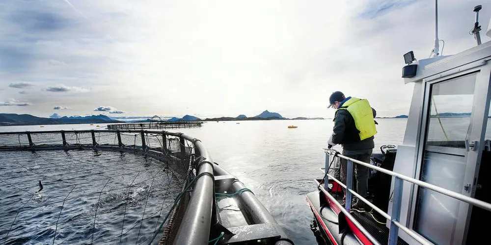 SNUR OM: Oppdretterne vil likevel betale arealavgift. Seint, men godt. Men trolig for seint. Her er Martin Sæterstad Kulseng på lokaliteten Stangholmen i Rødøy kommune på Helgeland. Foto: Selsøyvik Havbruk