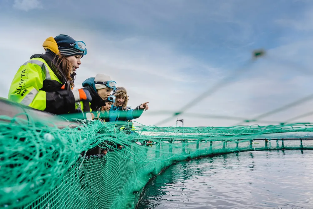 Visningssentrene tilbyr besøk på produksjonsanlegg. Rapporten peker på at besøk som kombineres med slike tilleggsaktiviteter, har stort potensial til å gi læringsutbytte for alle deltakere, skriver Menon i rapporten, som er laget med hjelp fra vitensenteret VilVite i Bergen.