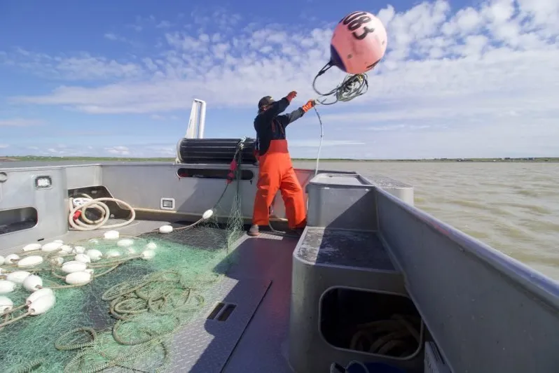 Bristol Bay fishing has commenced.