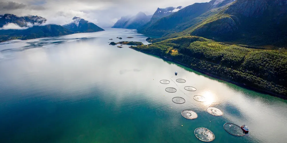 Lakselokalitet på Helgeland.