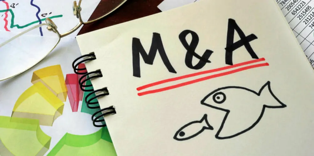 Despite a very coronavirus-stricken year for all industries, more than 30 seafood-related deals were inked in the first four months of 2020, proof of the sector's resilience.