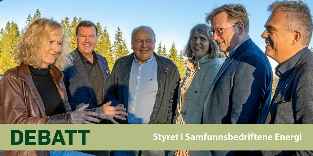 Fra venstre: Gudrun Rollefsen, Hammerfest Energi, Runar Lia, Notodden Energi, Ketil Kvaale, Vest-Telemark Kraftlag Holding AS, Bjørg, Hvidsten, Midtnett AS, Styreleder Kjell-Are Johansen, Andøy Energi, Nestleder Birger Høyland, Jæren e-verk.