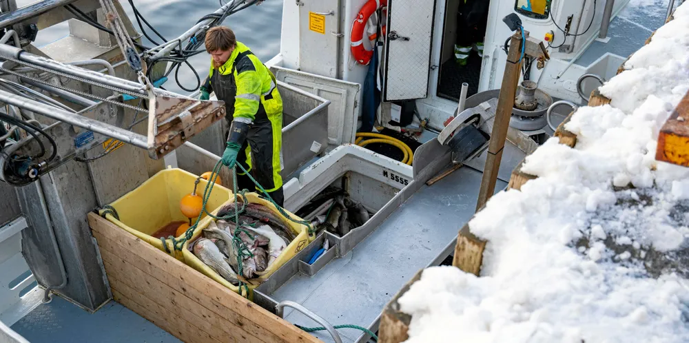 Finnmark Sp vil tilbakeføre kvotene til den hjemmelsgruppen de opprinnelig tilhørte. Her er Annfinn Ervik i Øksfjord for å drive hele året som fisker.