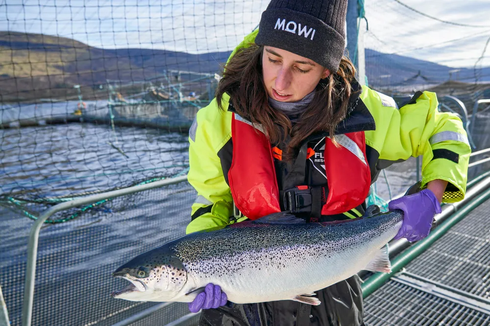 Mowi is shifting production from a Scottish site it has been using for decades to two new sites about 90 miles to the south