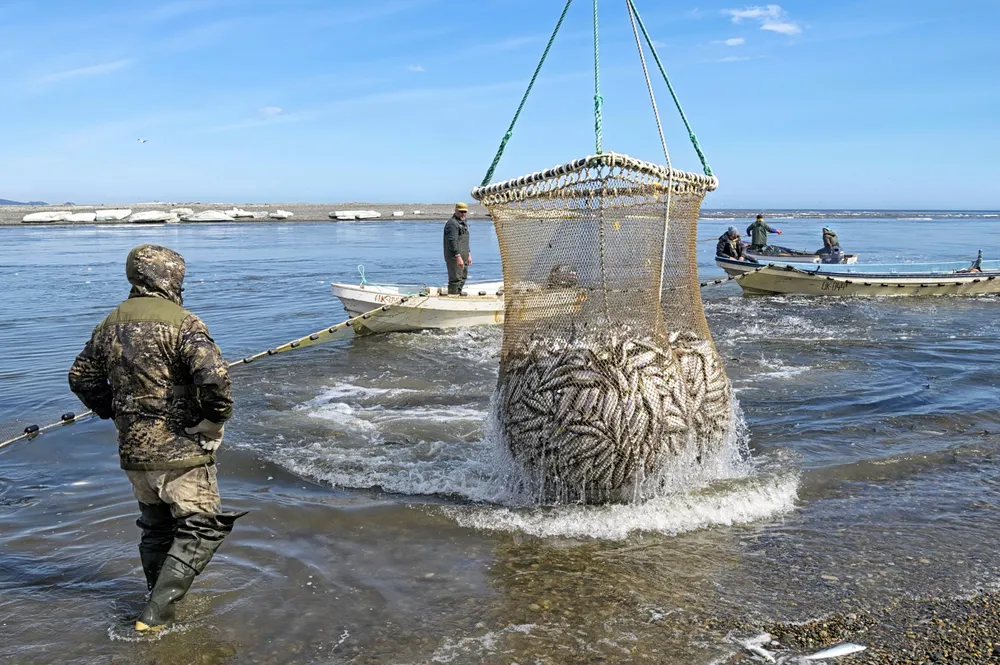 Russia is seeking new seafood markets to mitigate the effect of sanctions.