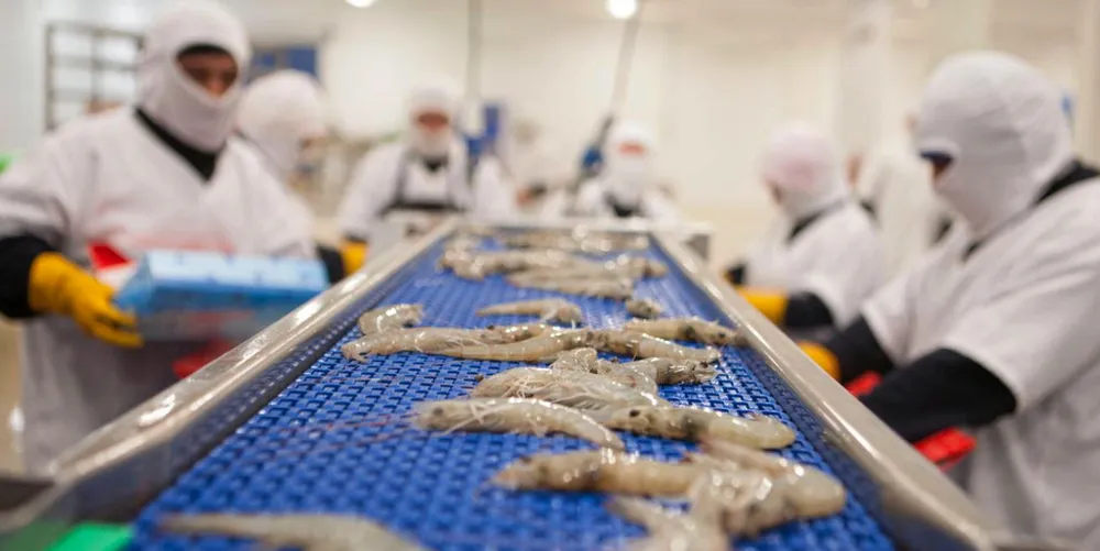 Ecuador's shrimp industry lost an estimated $1 billion (€942 million) so far this year because of a collapse in wholesale prices in key world markets.