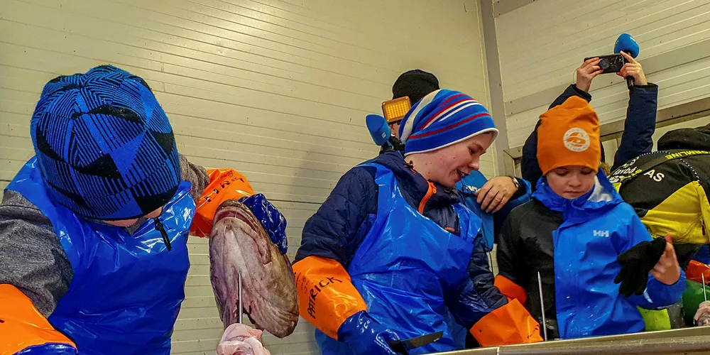 SMÅ OG FLITTIGE: Liam, Patrick og Sander får lære seg å skjære torsketunger hos Holmøy fiskemottak.