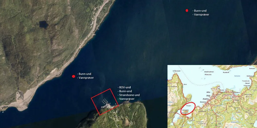Akvaplan-Niva har undersøkt området rundt Grieg Seafoods slakteri Simanes, der 96.000 fisk døde etter et klorutslipp 10. august.