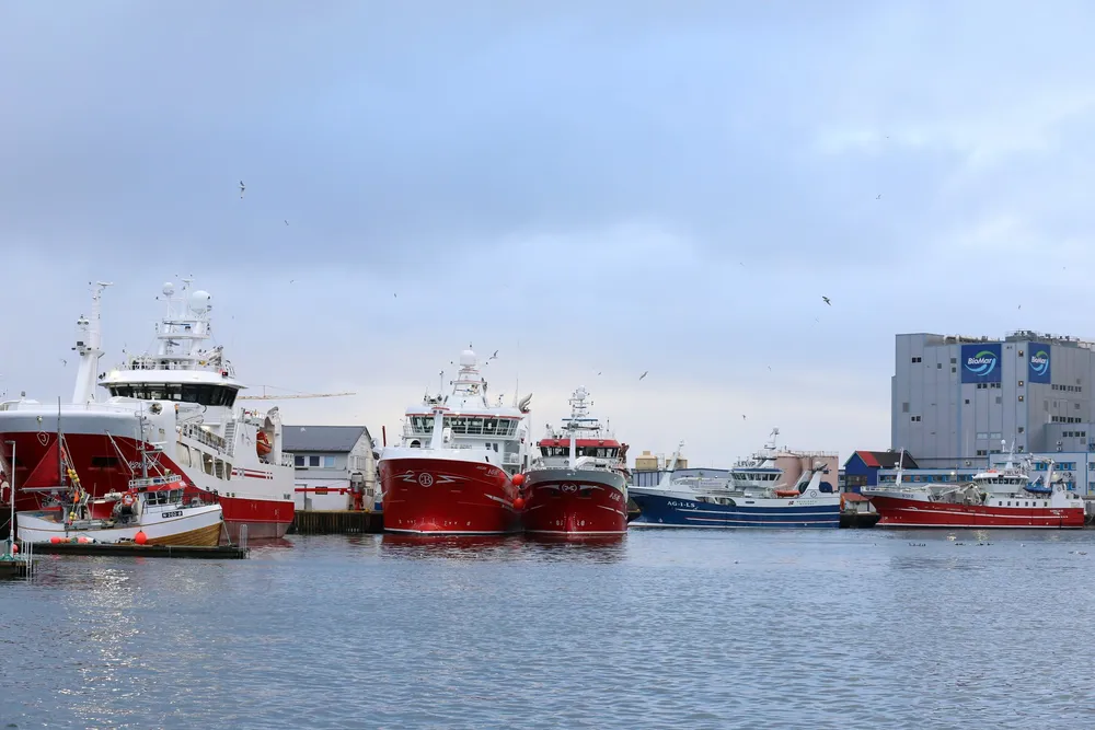 Over 20 snurrevadbåter, de fleste i stor kyst, lå til kai i Myre havn i helga. Fra venstre: «Vikanøy», «Jarle Berg», «Einar Erlend», «Nesejenta» og «Kamilla Grande».