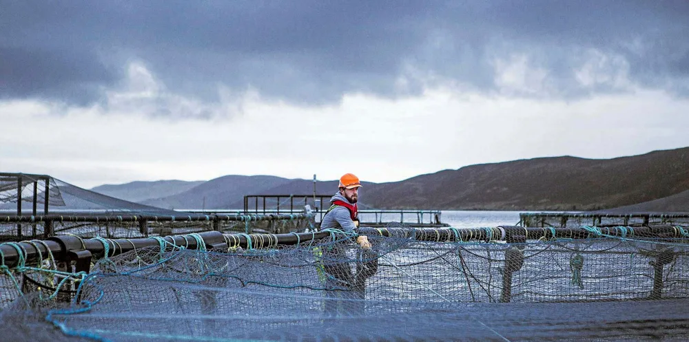 A Grieg farm worker pulls net across a salmon cage, near Scalloway, Shetland.