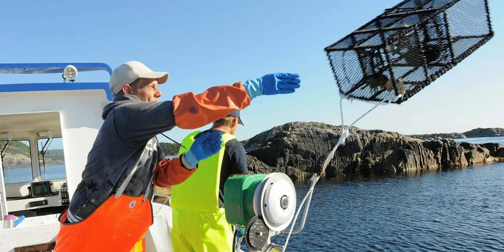 START: Leppefiskfiske med «Mersey» av Mandal. Skipper og reder Vegard Aanensen (blå oljehyre) har fått med seg mannskap for første gang, Frode Johansen (orange oljehyre). Tirsdag starter leppefisksesongen sør for Stadt. Totalt ser det ut til å bli 365 fartøy med i lukket gruppe.Foto: KJERSTI KVILE