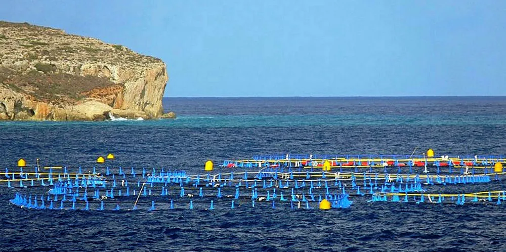 . Malta Tuna Farm.