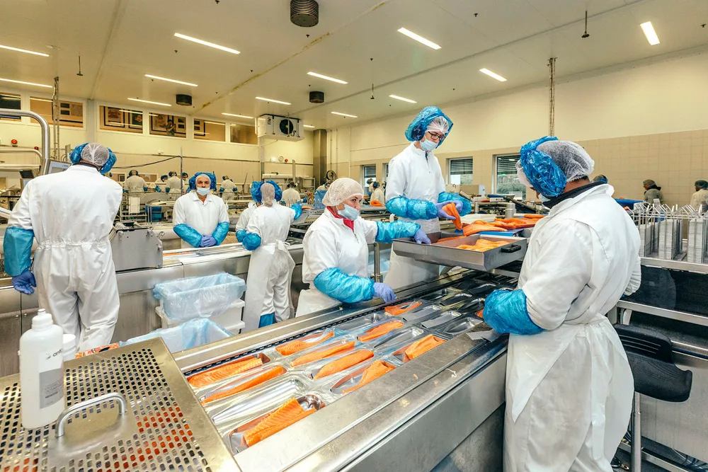 Fiskeforedlingsindustrien sliter med å være konkurransedyktig om norsk arbeidskraft. Den er imidlertid meget konkurransedyktig i EØS-markedet. Bildet er fra Bremnes Seashore på Bømlo. Foto: Johannes Worsøe Berg