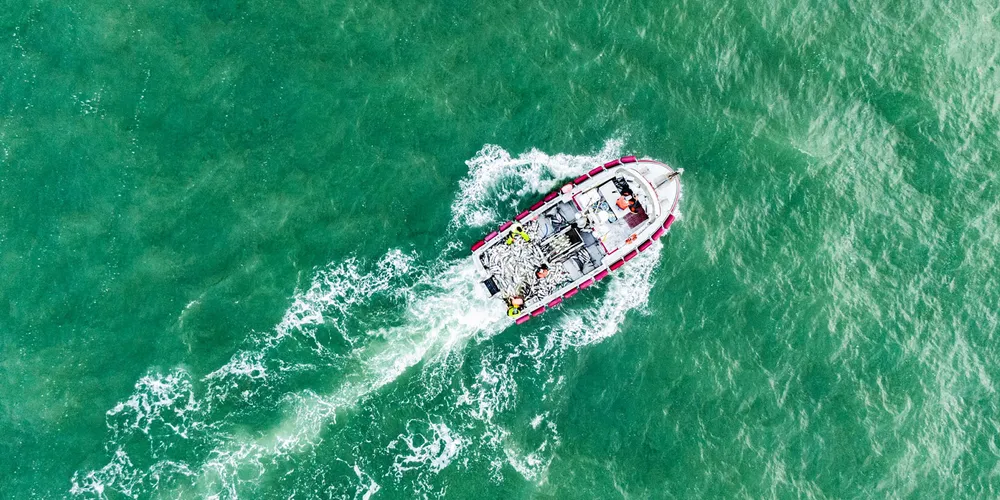 Bristol Bay salmon fishing in Alaska is underway.