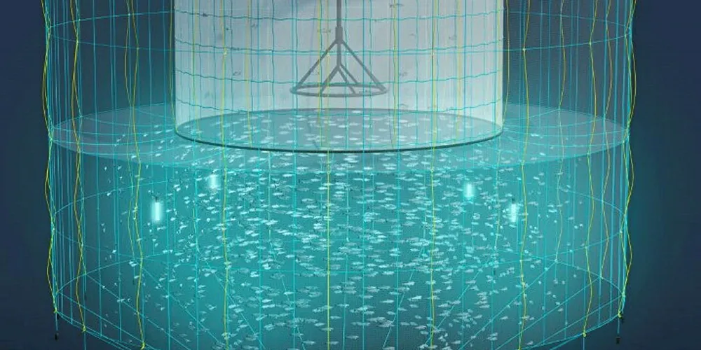 The prospect of recurring higher margins as the company ramps up sales of tube nets is underpinning optimism.