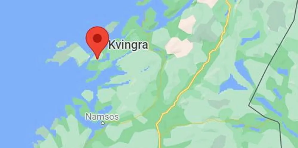Kvigra i Trøndelag. Kvigra i Trøndelag.