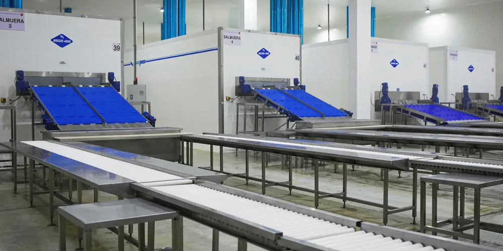 Ecuador shrimp exports have collapsed in the last two month leaving production lines bare.