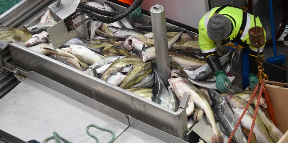 Torskeprisene er gode for tiden og landingene ligger over fjoråret. Årets to første måneder tegner bra, men utfordringene i markedene er mange.