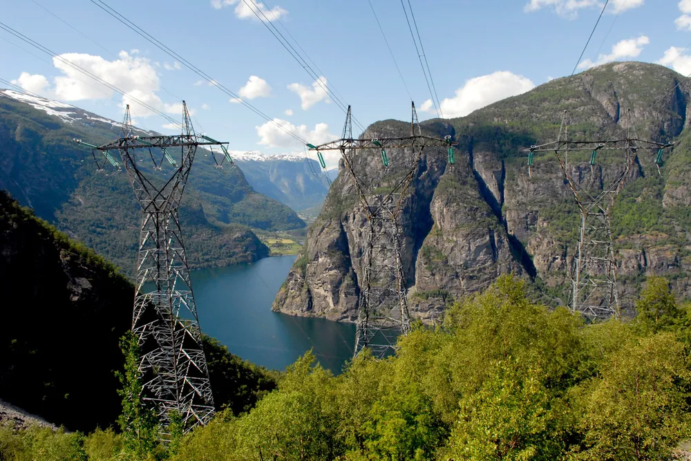 De årlige kostnadene forbundet med avbrudd i strømforsyningen (KILE) løper opp i flere hundre millioner kroner, og tilsvarende beløp går til forebyggende skogrydding i kraftgatene, skriver innleggsforfatterne.