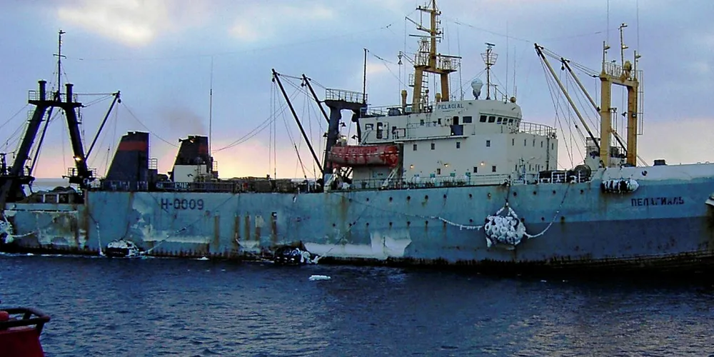 Russian pollock trawler